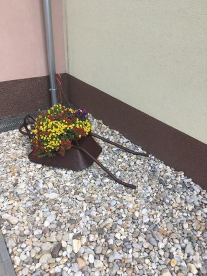 Ubytovani U Babicky Pension Lanžhot Buitenkant foto